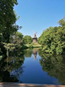 IMG_20250513_122553