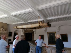 IMG_20250513_142008