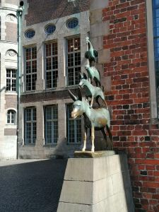 IMG_20250513_152238